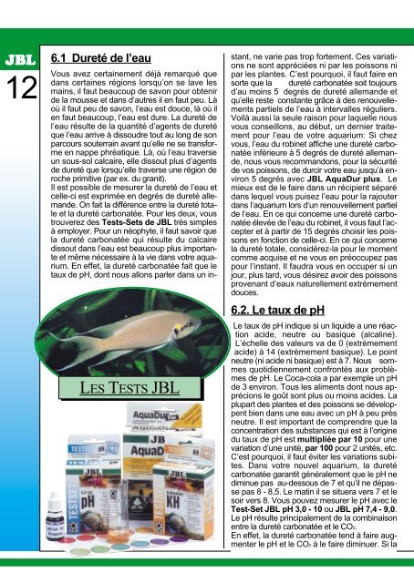 Installation d'un aquarium - conseils utiles pour débutants - Truffaut