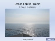 Ocean Forest Project - akvARENA