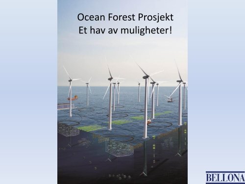 Ocean Forest Project - akvARENA