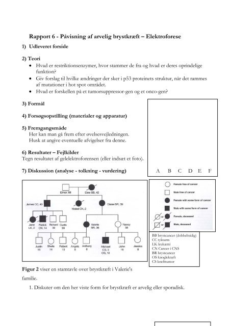 Laboratoriekursus Biologi B-niveau - KVUC