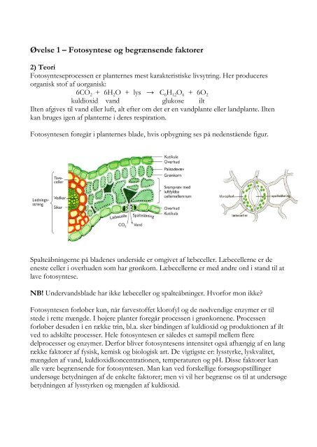 Laboratoriekursus Biologi B-niveau - KVUC