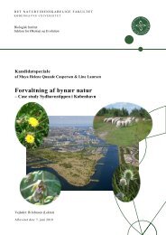 Forvaltning af bynær natur – case study Sydhavnstippen i København