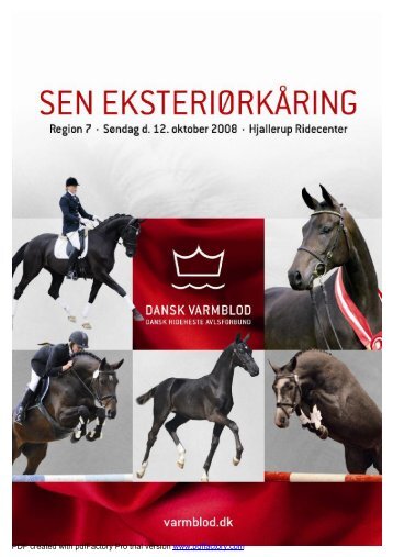 Sen eksteriørkåring - Ridehesten.com