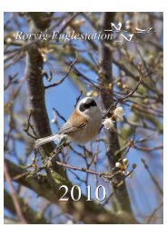 Rapport 2010 i A4-format - Rørvig Fuglestation