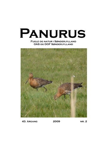 PDF – udgave - DOF Sønderjylland