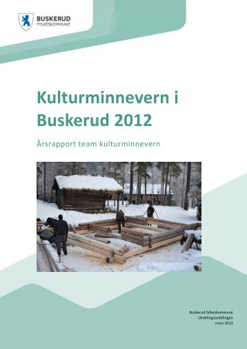 Årsrapport 2012.pdf - Buskerud Fylkeskommune