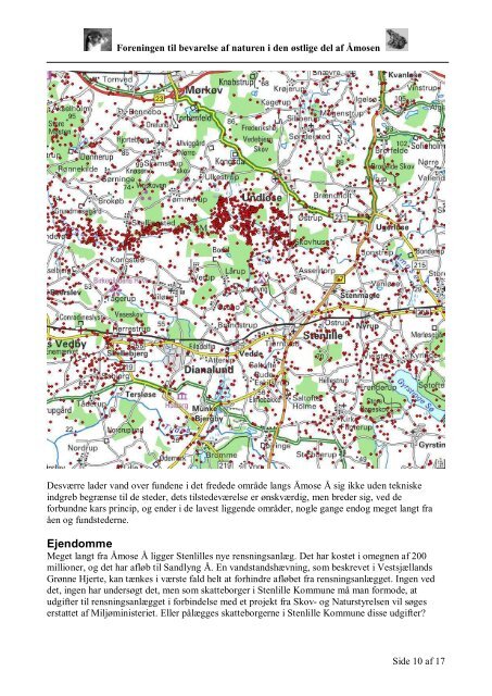 Situationsanalyse for den østlige del af Åmosen - Naturstyrelsen