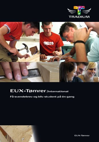 EUX-Tømrer/International Få svendebrev og bliv student ... - Tradium