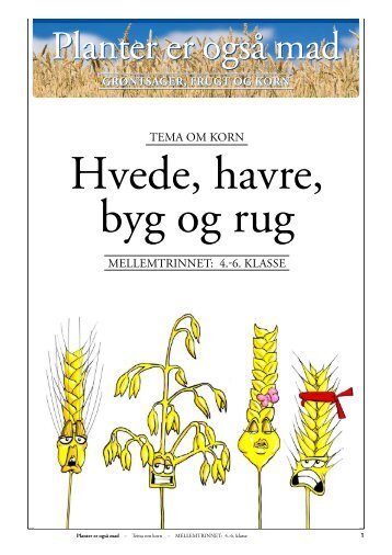 Korn/HVEDE, HAVRE, BYG og RUG - Planter er også mad