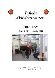 Toftebo Aktivitetscenter - program 2013-14 - Herning Kommune