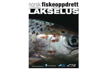 Lakselus:Norsk Fiskeoppdrett 02.2004 - Lusedata