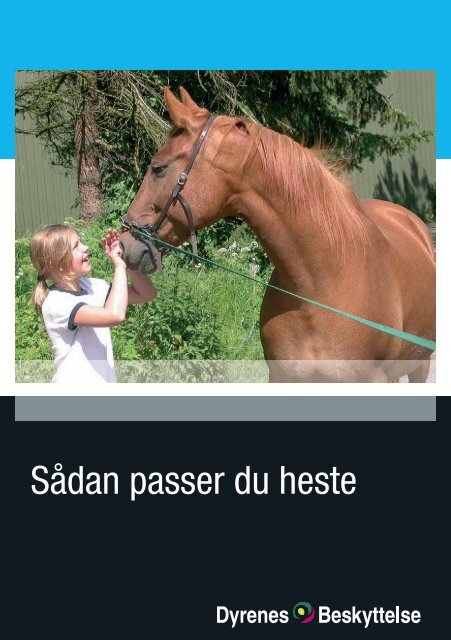 Sådan passer du heste - EOR