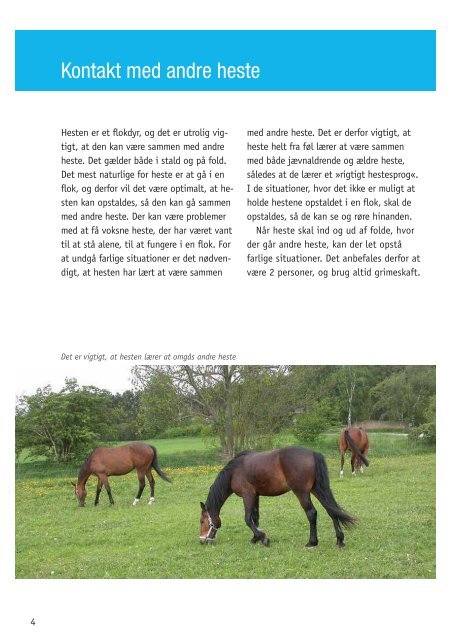 Sådan passer du heste - EOR