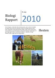 Biologi Rapport - Heste-Nettet