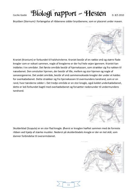 Biologi Rapport - Heste-Nettet