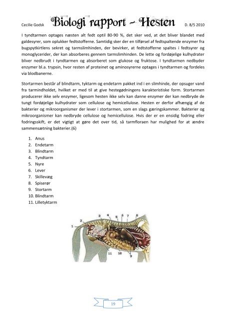 Biologi Rapport - Heste-Nettet