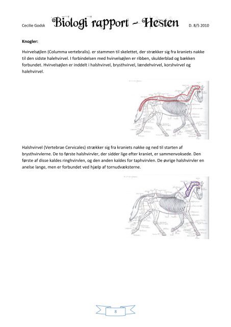 Biologi Rapport - Heste-Nettet