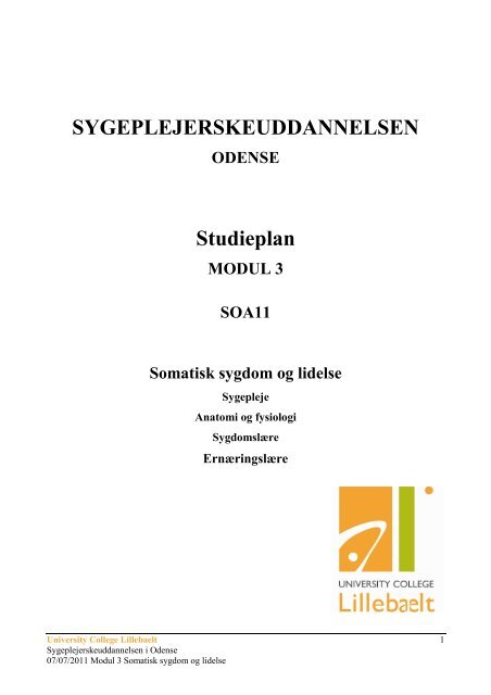 125115.Studieplan - Modul 3 - endelig udgave.pdf