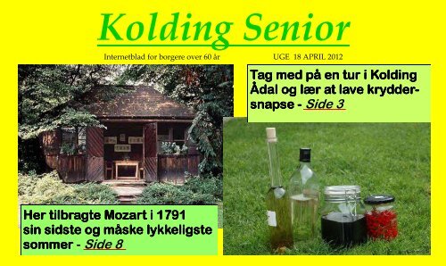 Uge 18 - Kolding Senior