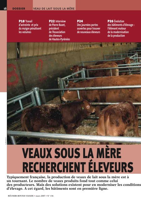 veaux sous la mère recherchent éleveurs - Veau sous la Mère