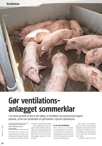 Ventilation og overbrusning af svin - Klimatilpasning