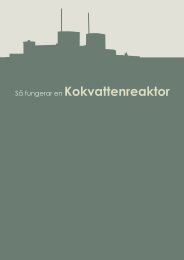 Så fungerar en kokvattenreaktor