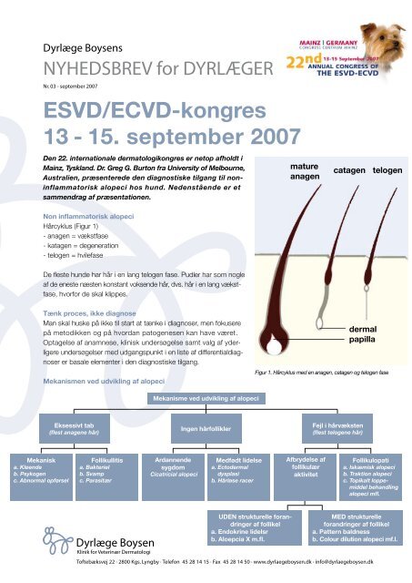 ESVD/ECVD-kongres 13 - 15. september 2007 - Dyrlæge Boysen