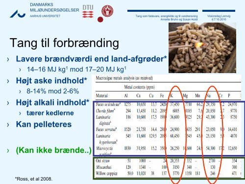 Tang som fødevare, energikilde og til vandrensning