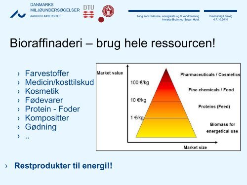 Tang som fødevare, energikilde og til vandrensning