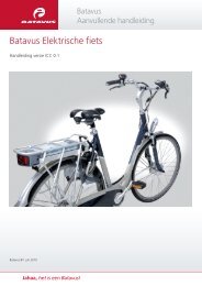 LI-IONÂ® - Batavus