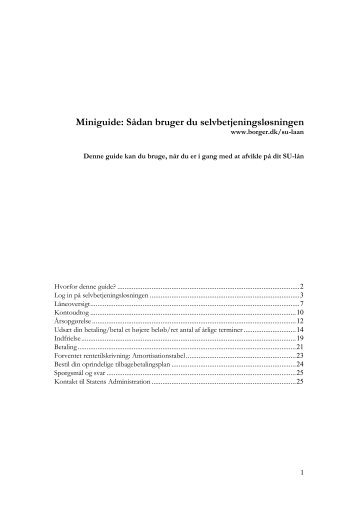 Afvikling, miniguide.pdf - Borger.dk