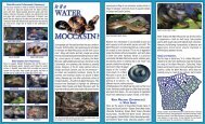 water moccasin flier - Savannah River Ecology Laboratory