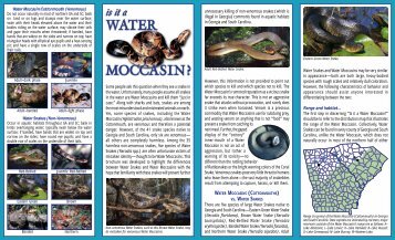 water moccasin flier - Savannah River Ecology Laboratory