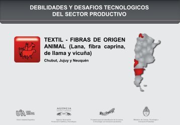 Textil Fibras de origen animal (.pdf) - COFECyT