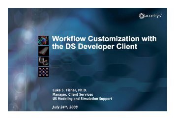 What is the DS Developer Client? - Accelrys