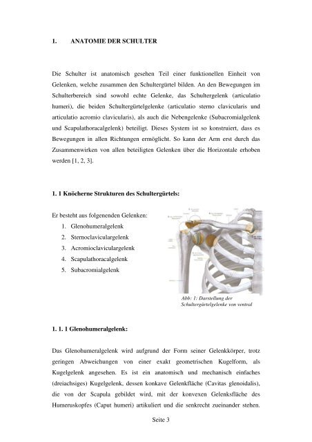 Seite 1 INHALTSVERZEICHNIS: 1. ANATOMIE ...