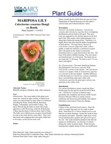 mariposa lily - USDA Plants Database - US Department of Agriculture