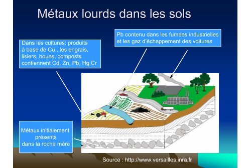 Extraction de métaux lourds : Cd, Cr, Cu, Ni, Pb, Zn par la méthode d ...