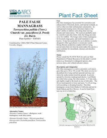 Plant fact sheet for pale false mannagrass - USDA Plants Database