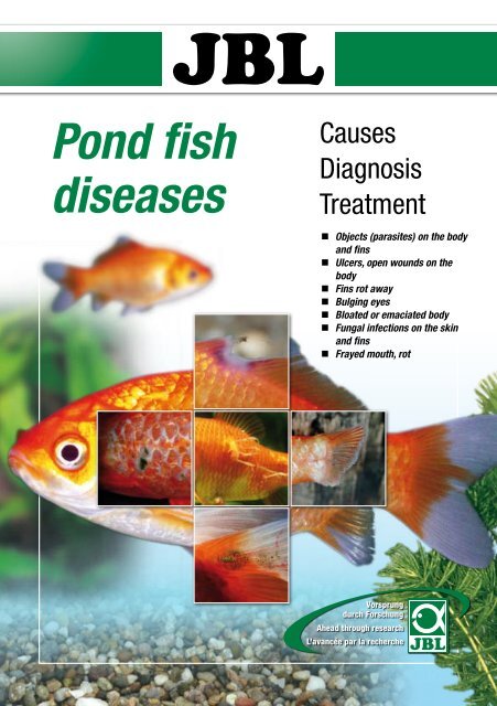 Bloated pond fish sales