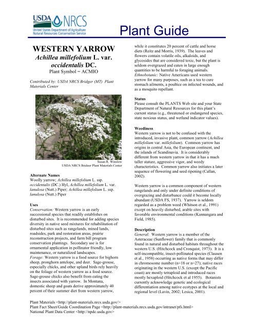 Native Yarrow Map Yarrow Planting Guide