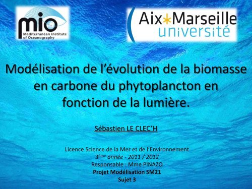 Modélisation de l'évolution de la biomasse en carbone du ...