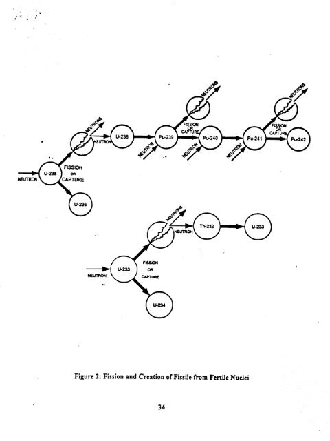 REPORT ON IN NAVAL NUCLEAR JUNE, 1995