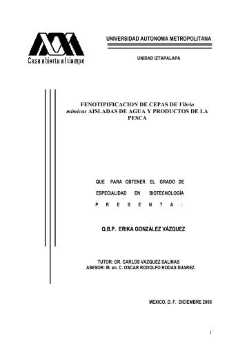 UNIVERSIDAD AUTONOMA METROPOLITANA ...