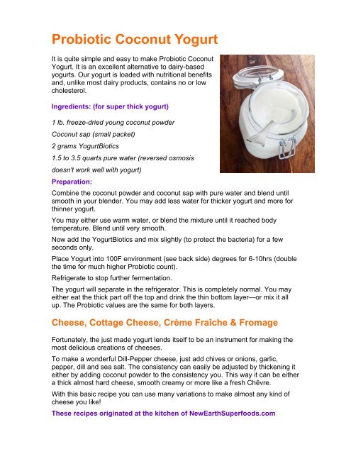 Probiotic Coconut Yogurt Integrative Nutrition Health Coach Websites