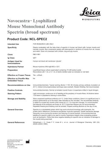 Novocastratm Lyophilized Mouse Monoclonal Antibody Spectrin ...
