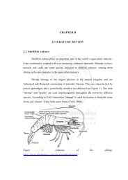 prevalence and molecular characteristics of vibrio species in pre ...