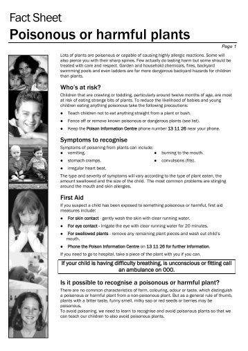 Fact Sheet Poisonous Or Harmful Plants - Kids Health @ CHW