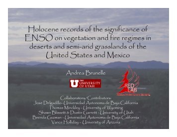 Holocene records of the significance of ENSO on vegetation and fire ...