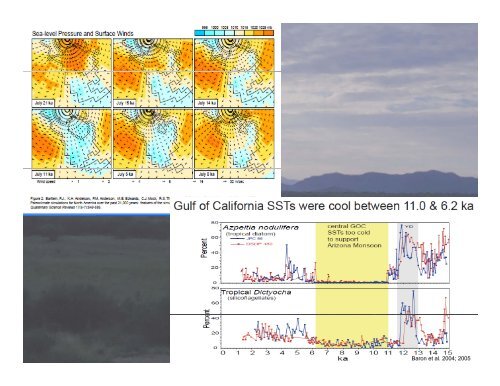 Holocene records of the significance of ENSO on vegetation and fire ...